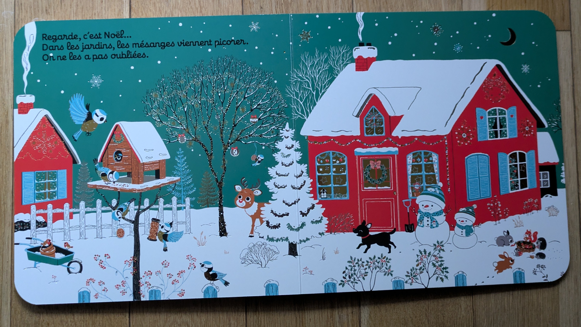 De très belles illustrations argentées qui scintillent