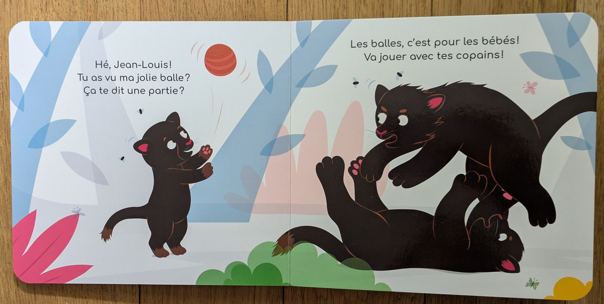 De très belles illustrations