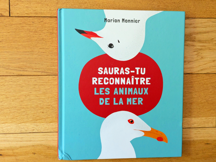 Sauras-tu reconnaître les animaux de la mer ?