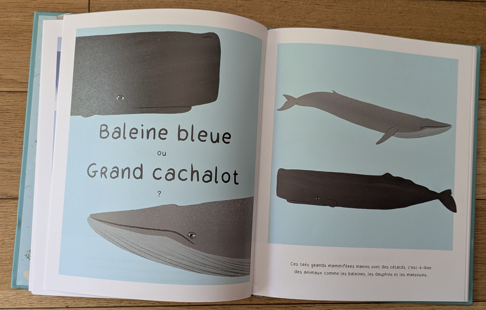 De très belles illustrations