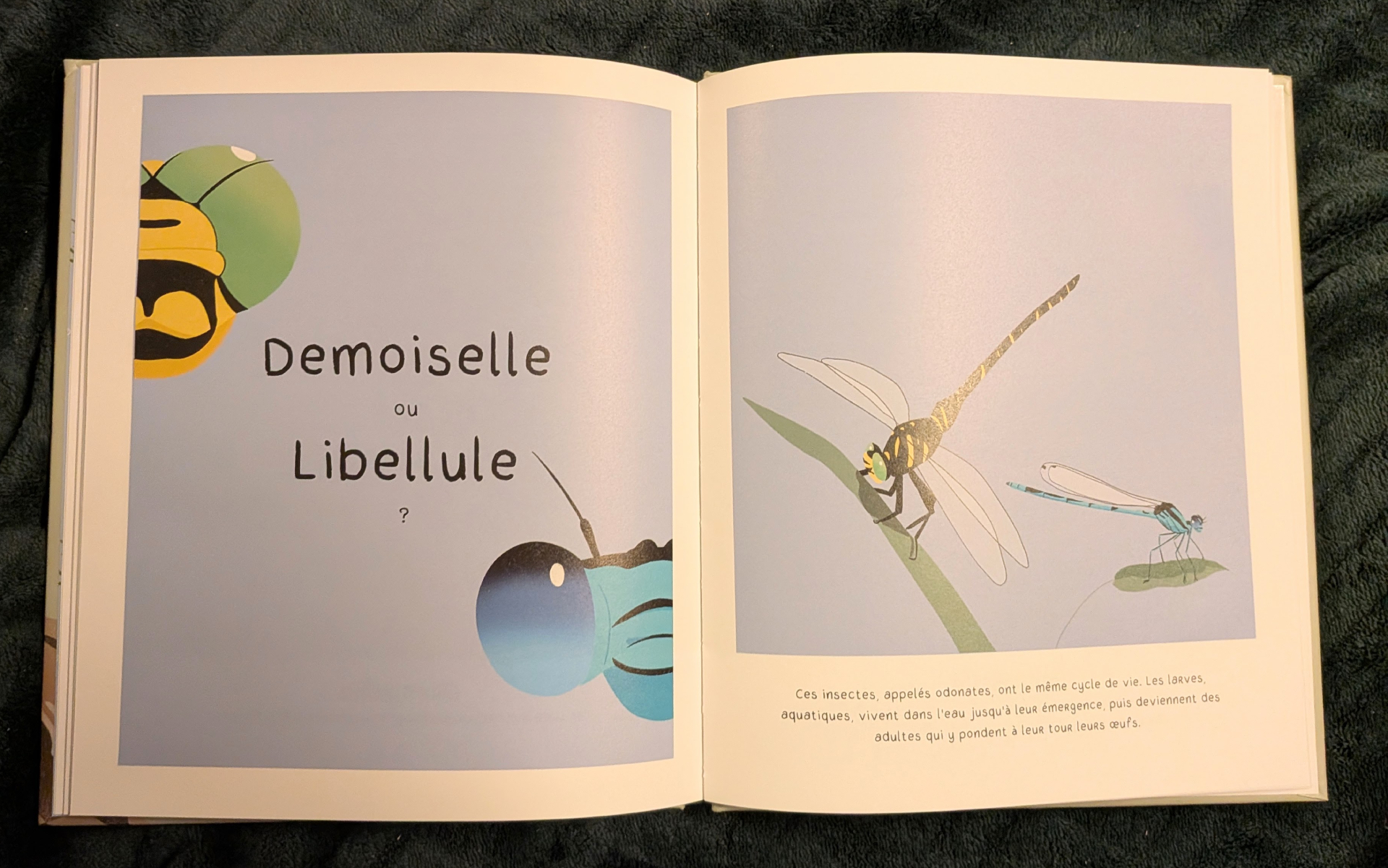 De très belles illustrations