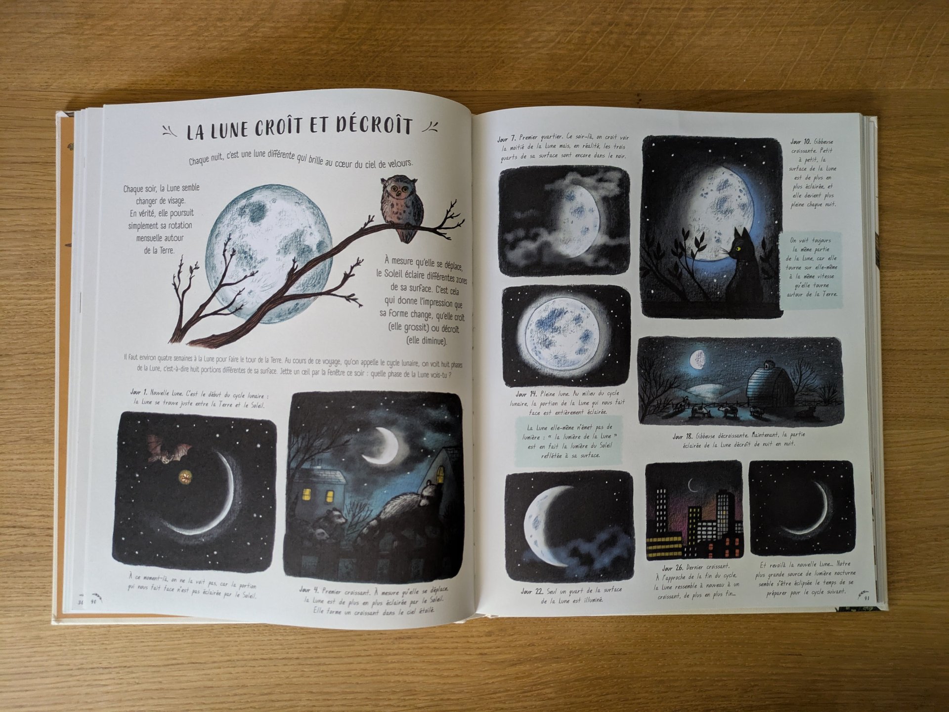 Des illustrations magnifiques qui captivent les petits comme les grands