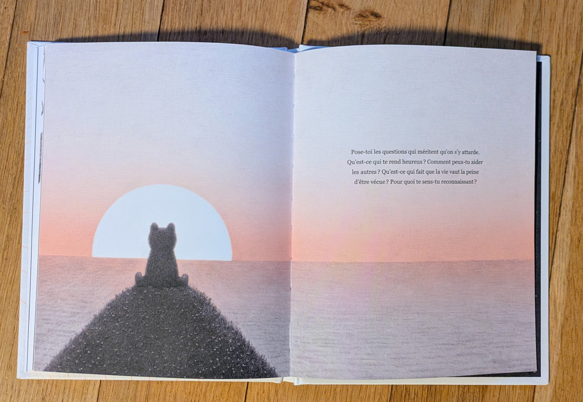 Des illustrations magnifiques