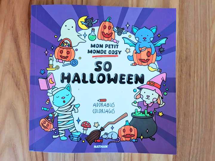 Mon petit monde cosy - So Halloween ! de Tessa Aaij.