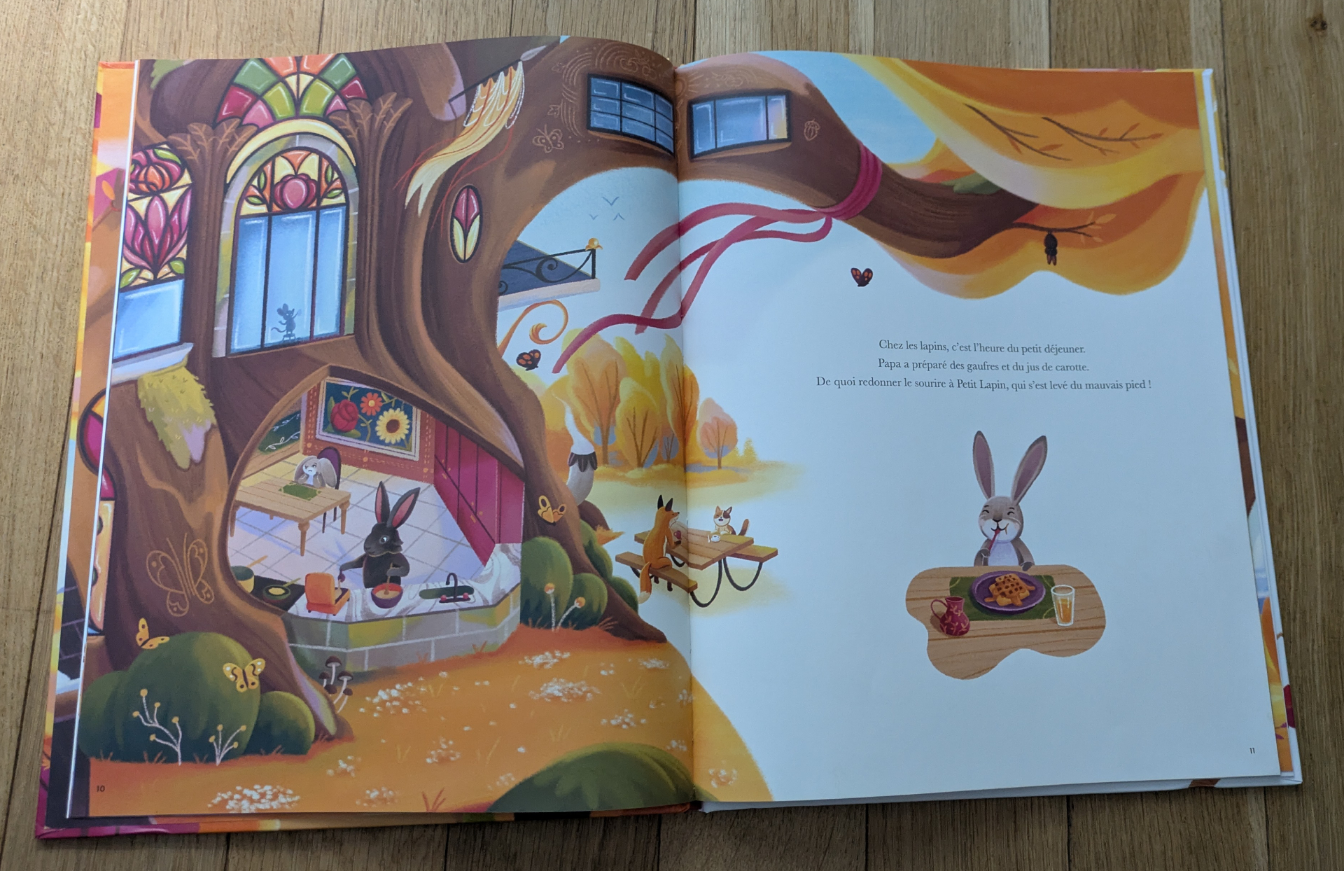 Des illustrations magnifiques