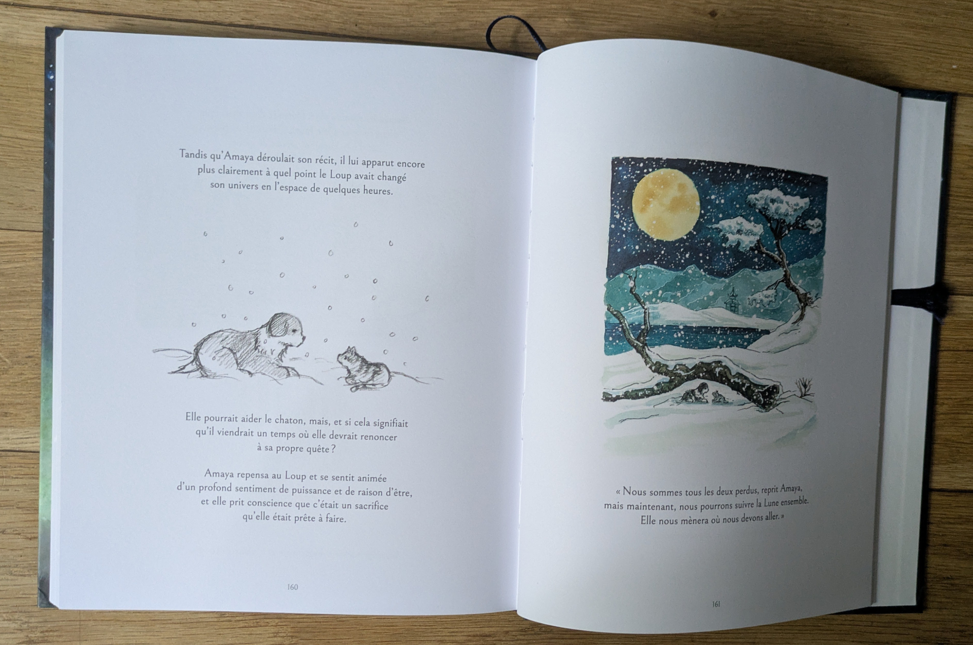 Des illustrations magnifiques