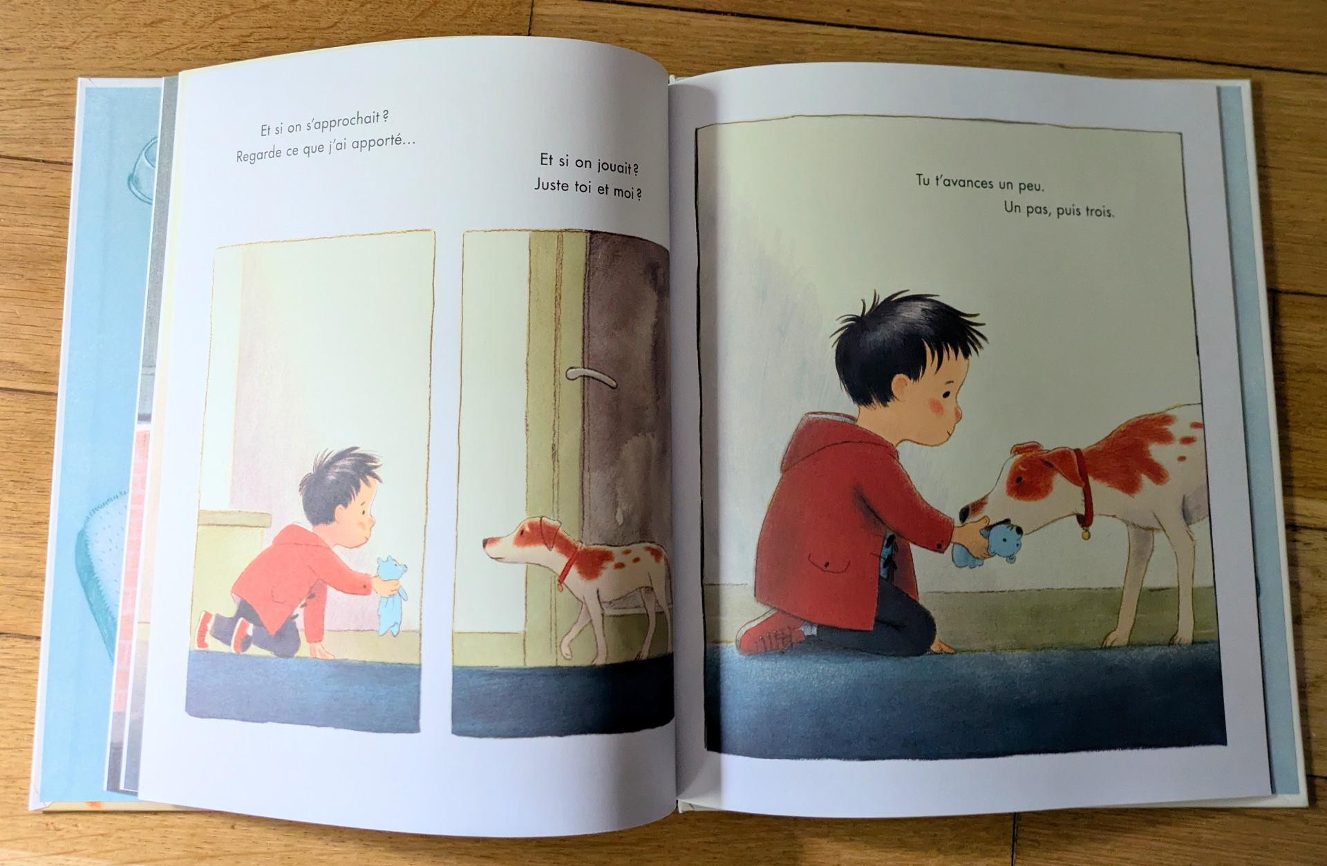 Des illustrations magnifiques