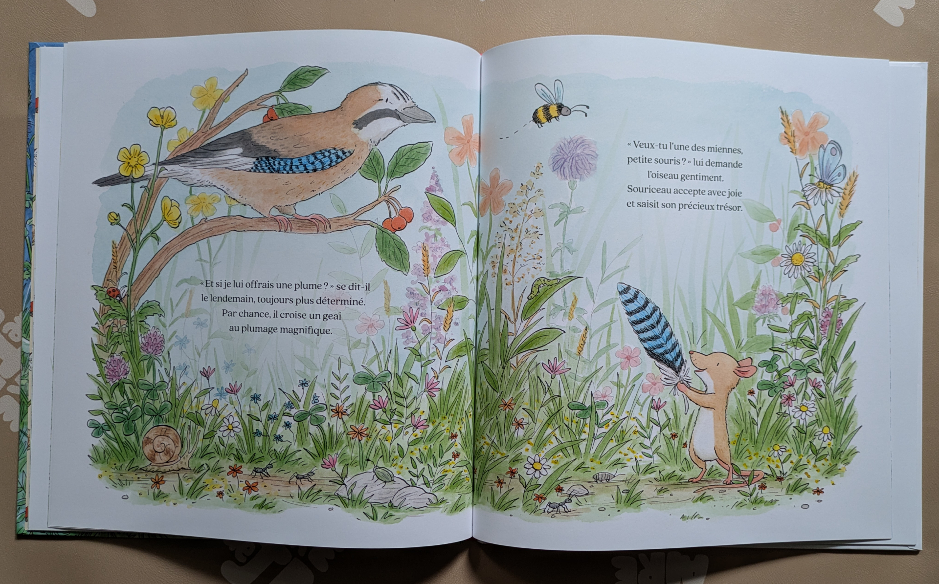 Des illustrations magnifiques