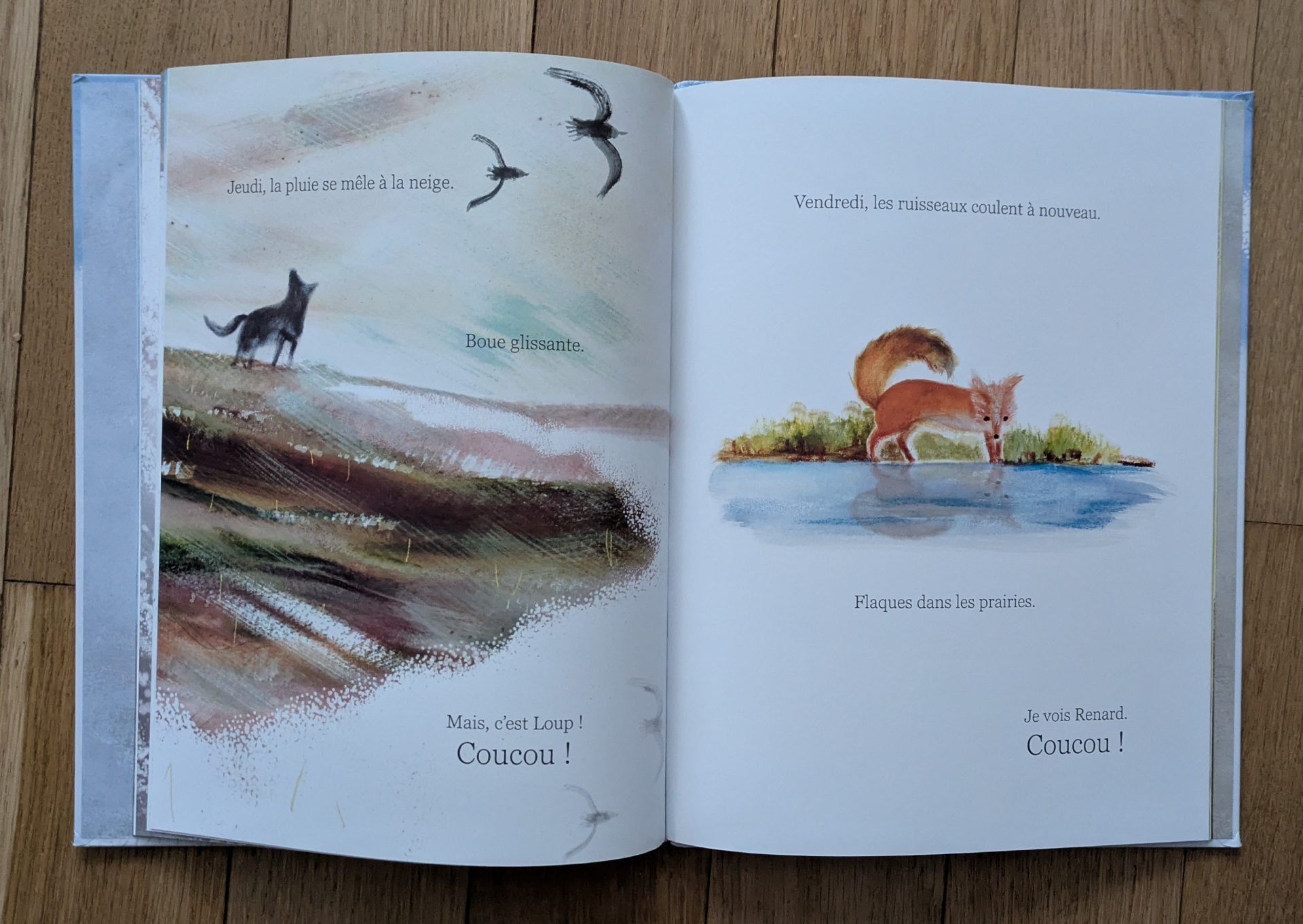 Des illustrations magnifiques