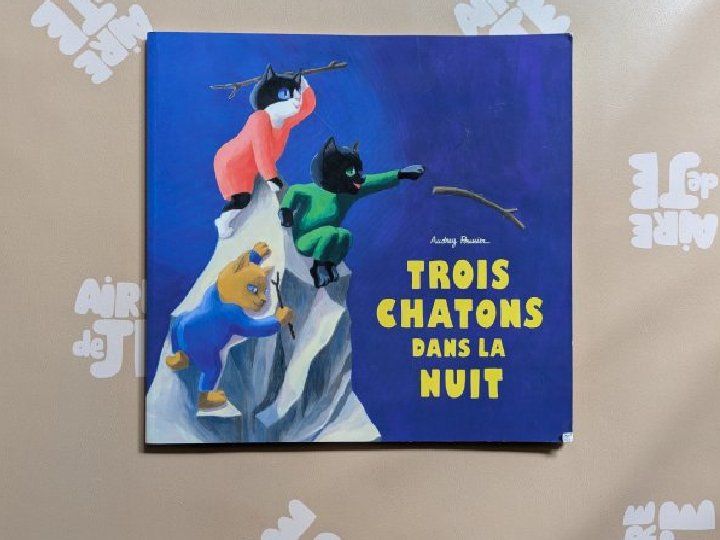 Trois chatons dans la nuit