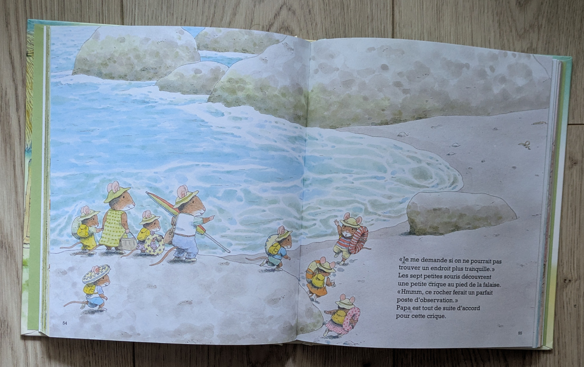 Des illustrations magnifiques