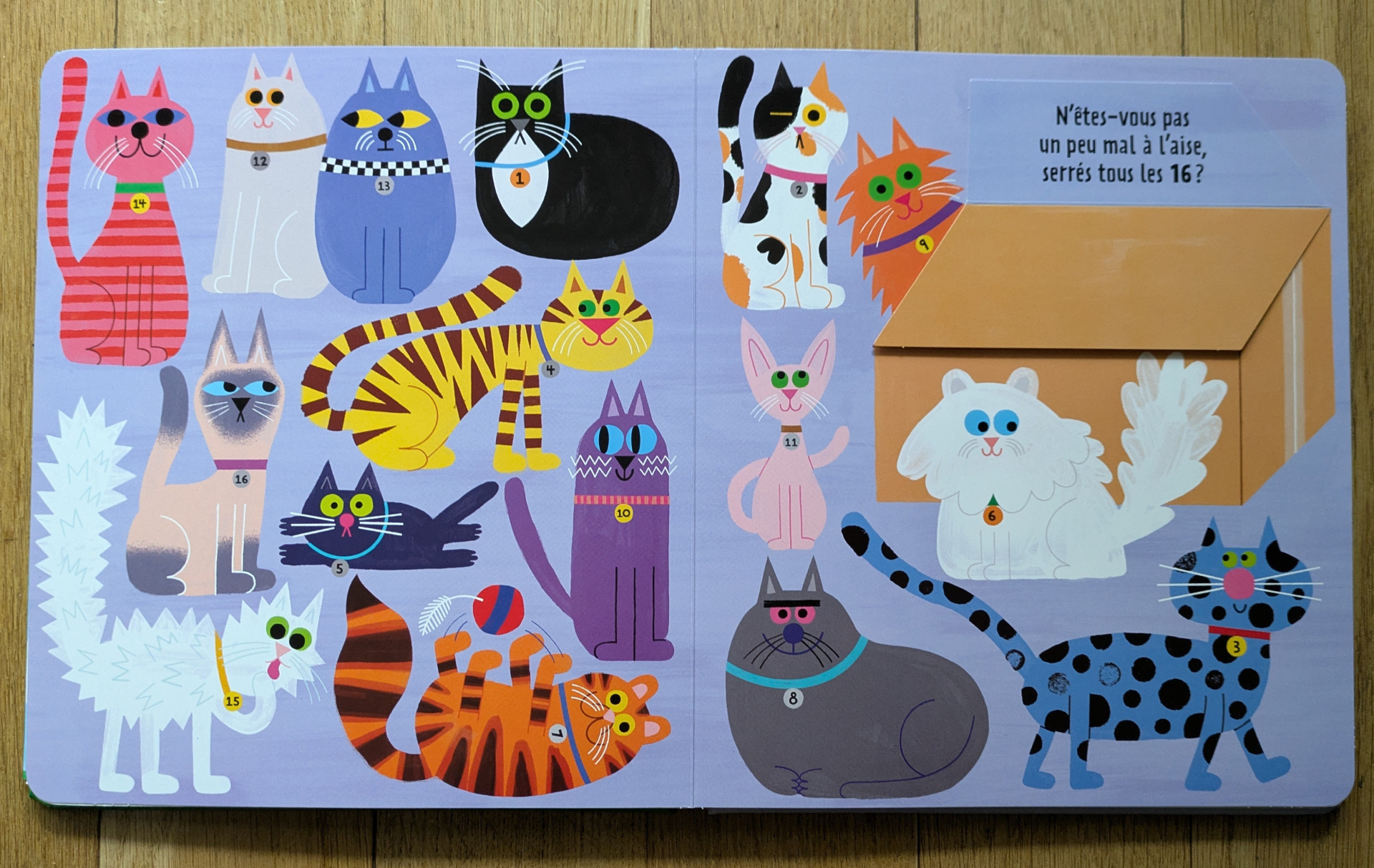 Des illustrations magnifiques