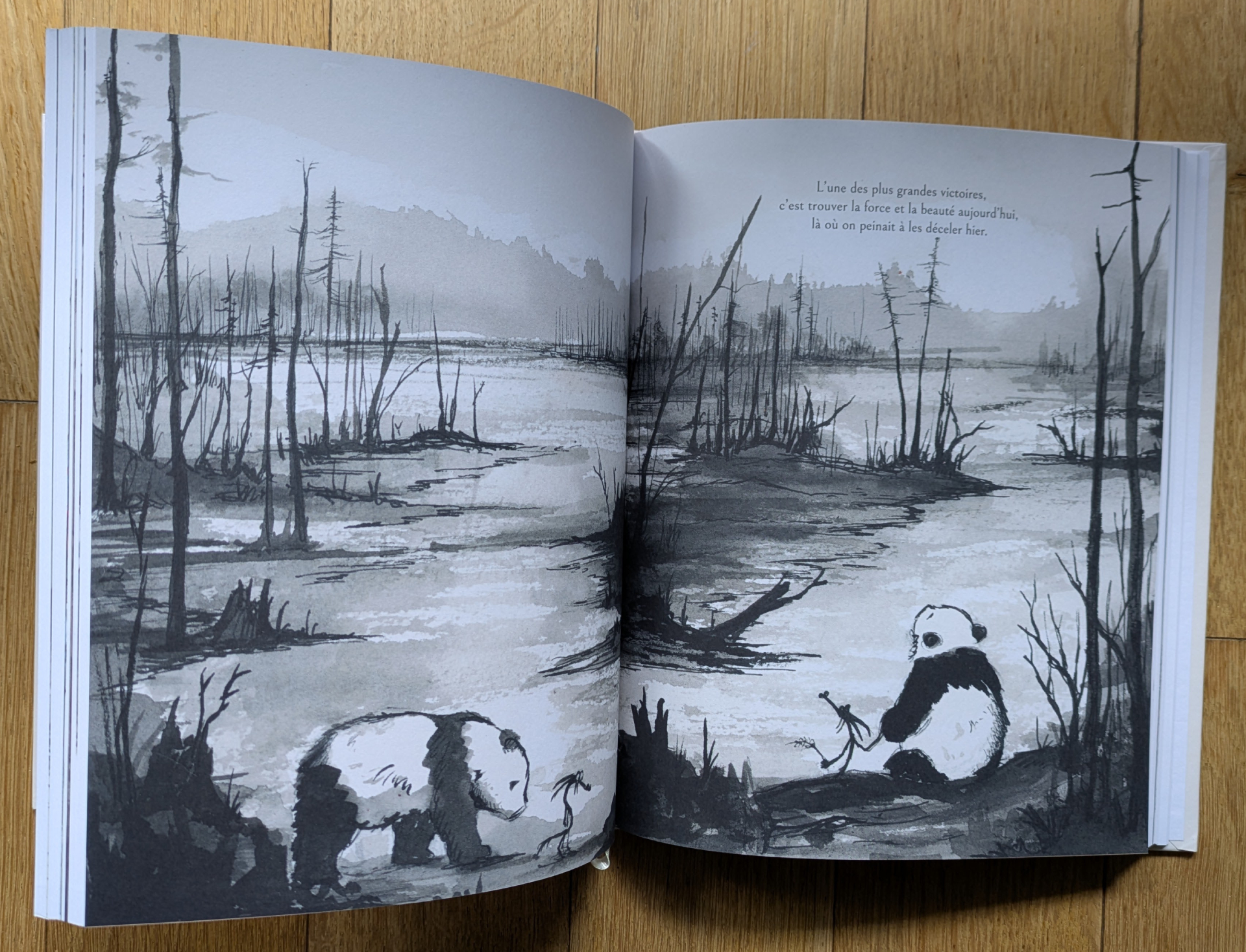 Des illustrations magnifiques