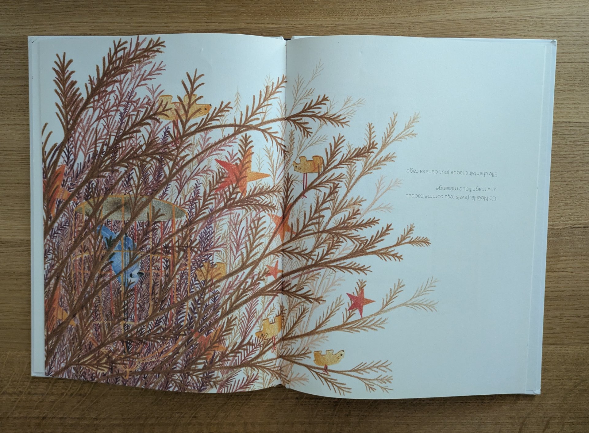 De très belles illustrations
