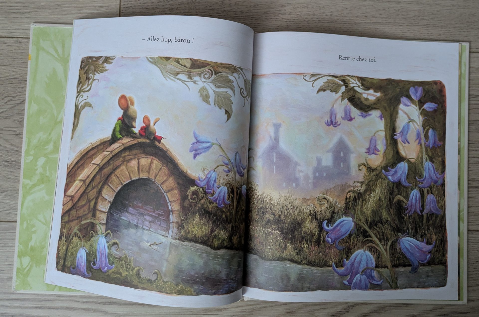 Des illustrations magnifiques