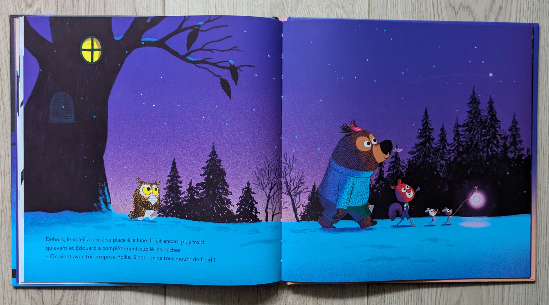 Des illustrations magnifiques