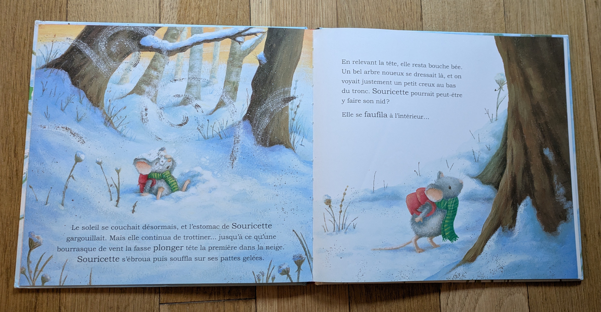 Des illustrations magnifiques