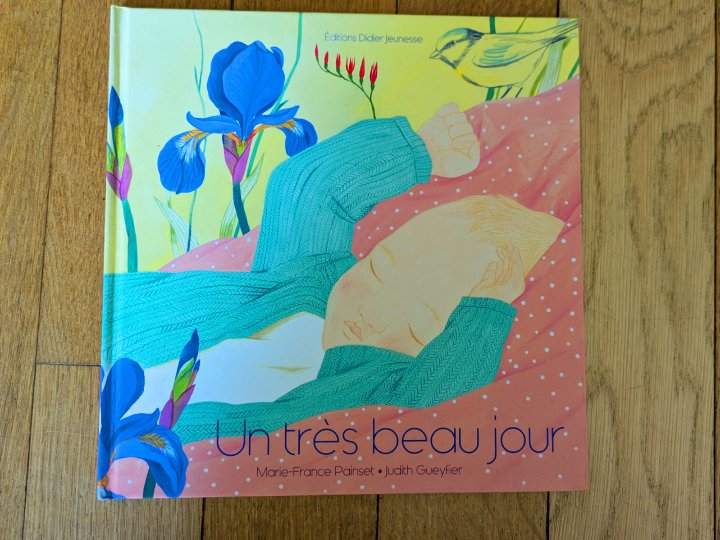 Un très beau jour de Marie-France Painset et Judith Gueyfier.