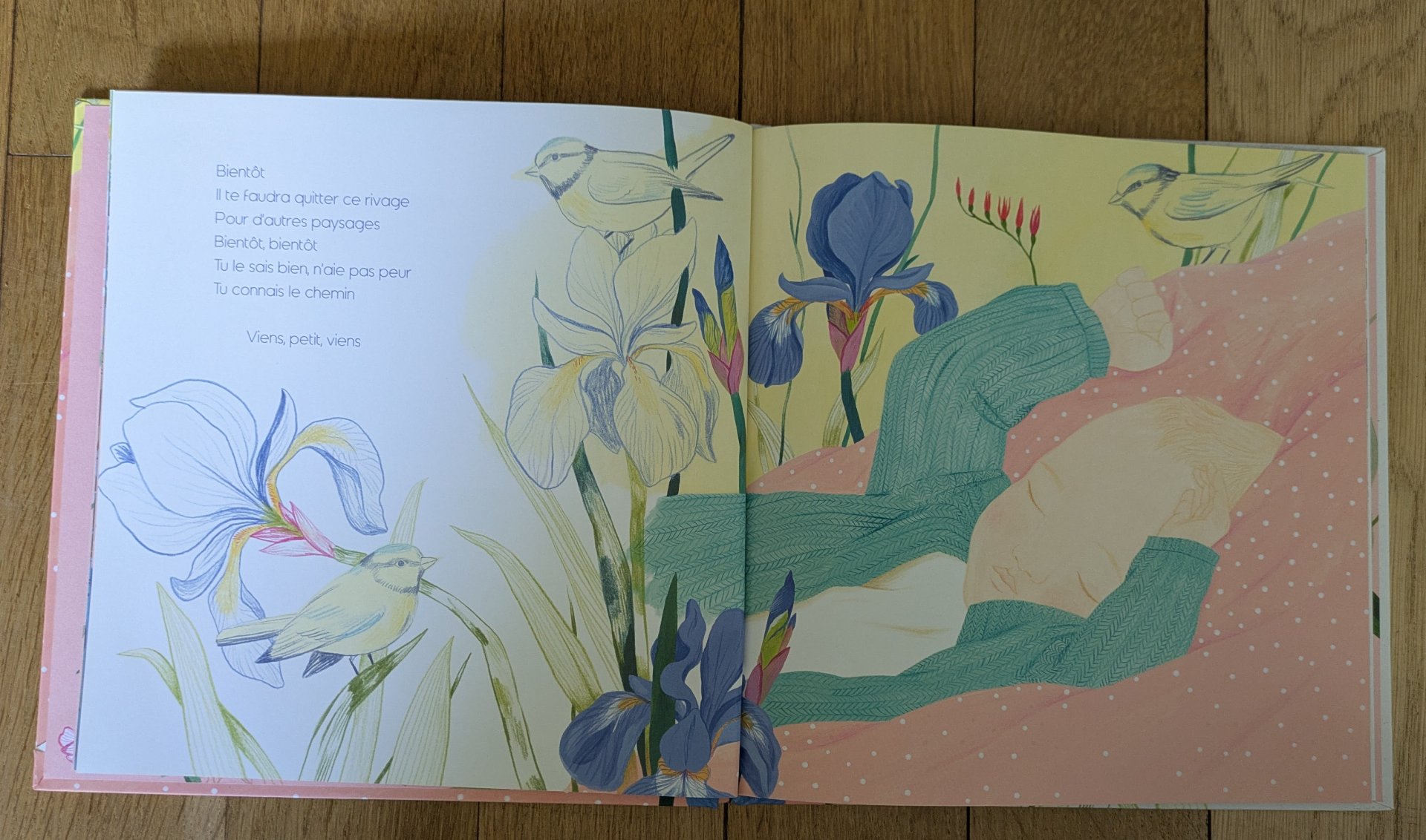 De belles illustrations pleine de douceur