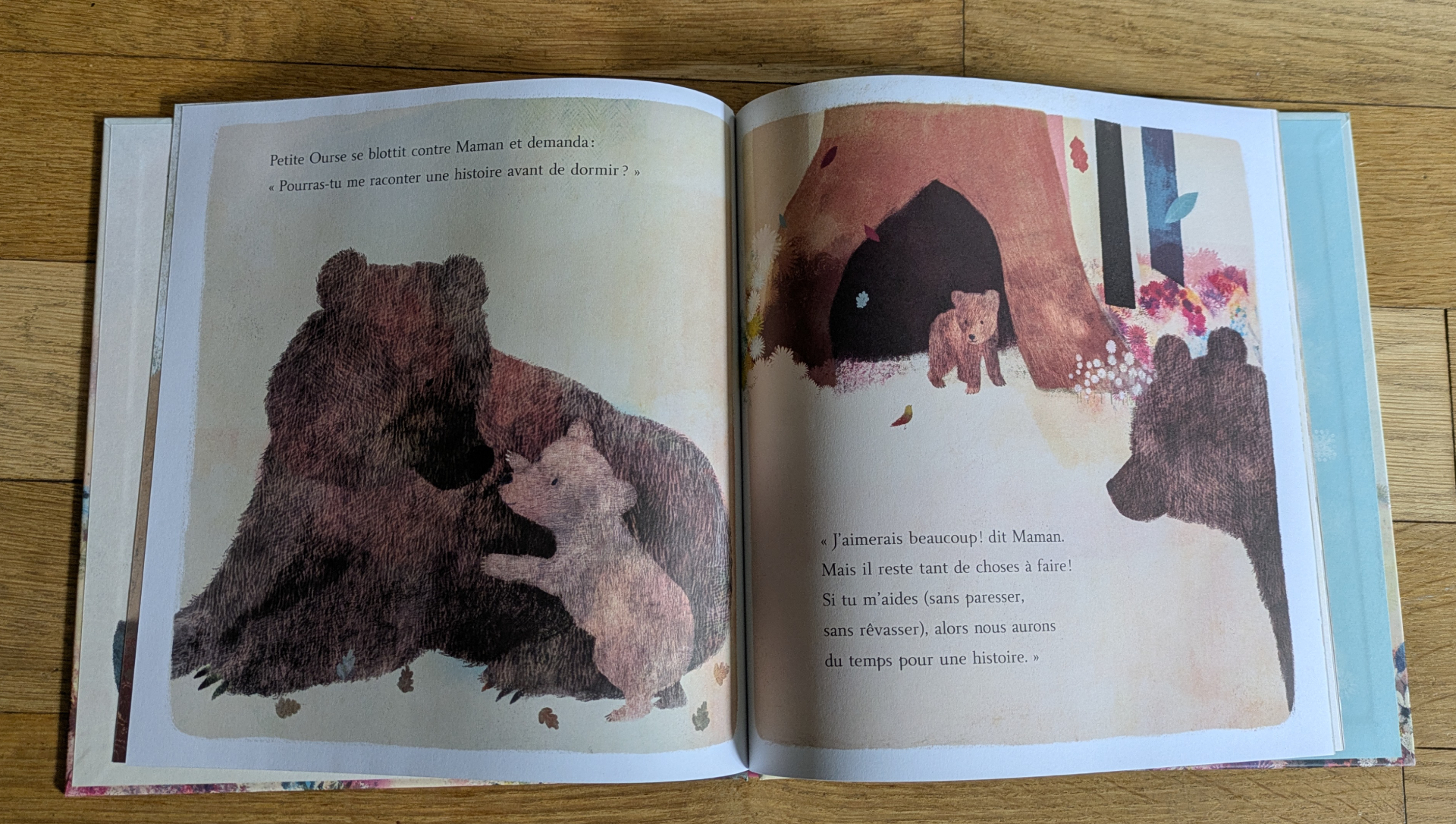 Des illustrations magnifiques