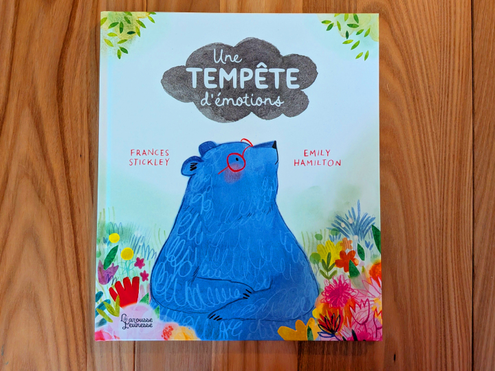 Une tempête d'émotions de Frances Stickley et Emily Hamilton.