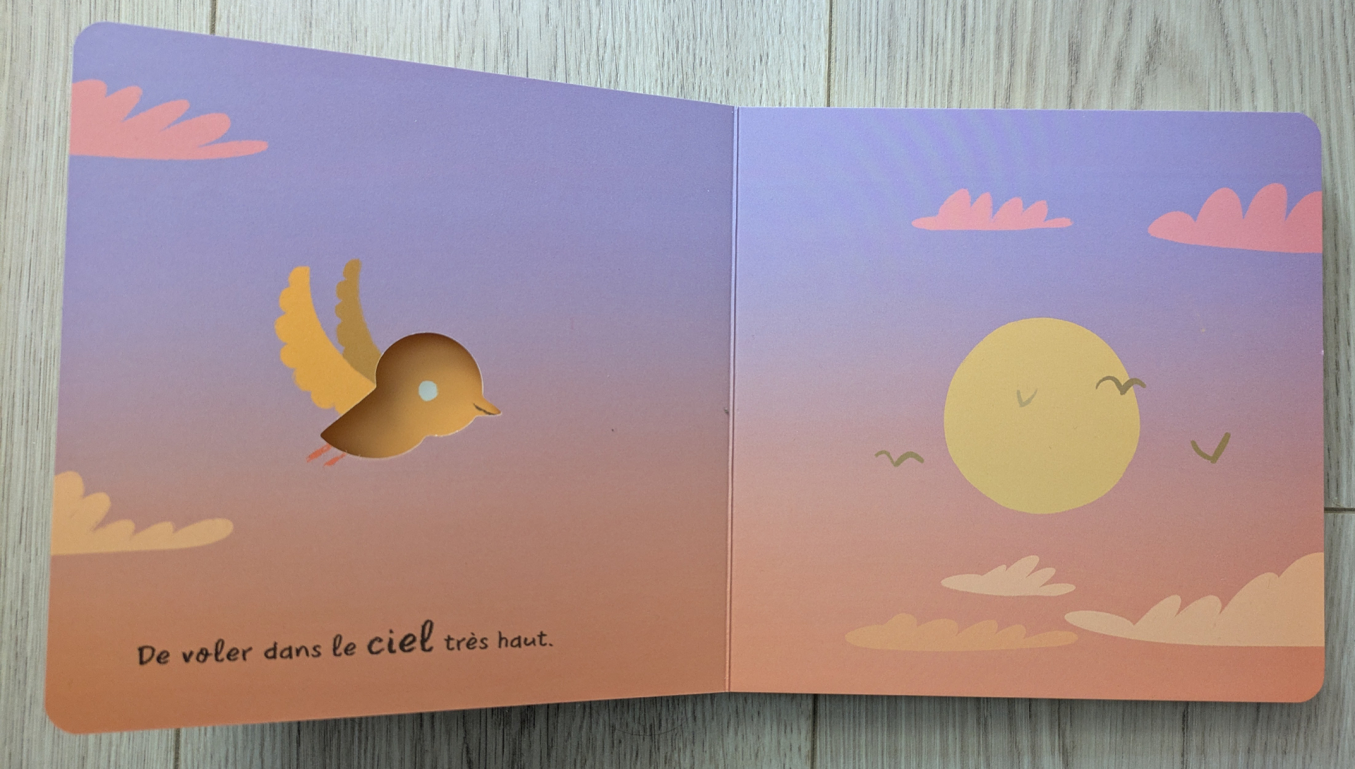 De très belles illustrations colorées et apaisantes